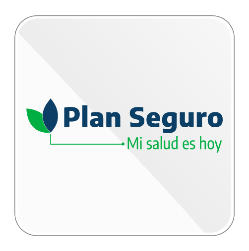 PLAN SEGURO